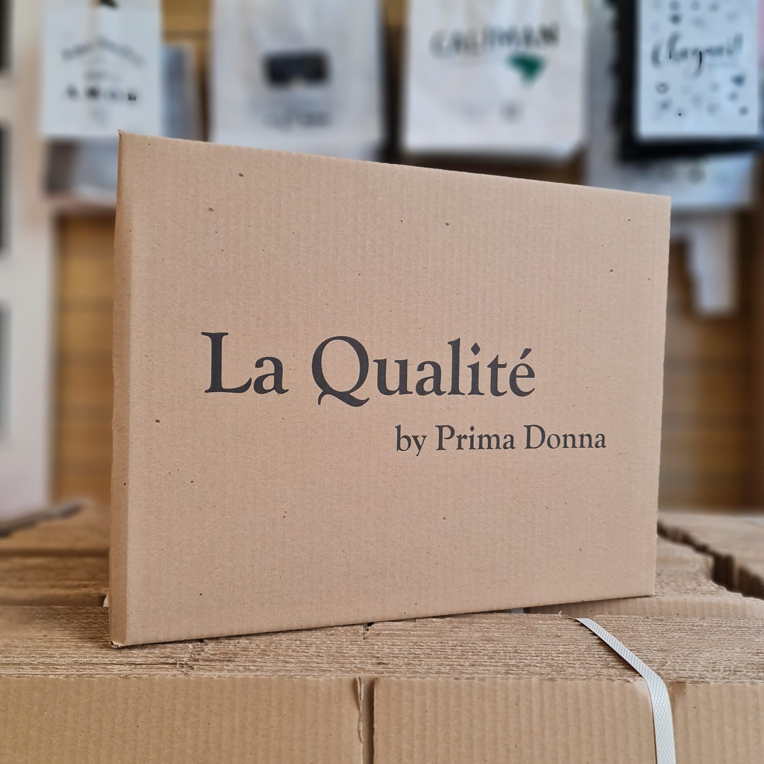 WhatsApp Image 2026-03-31 at 16.10.47.jpeg